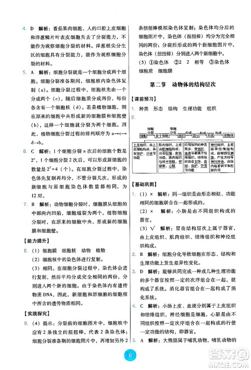 人民教育出版社2024年秋能力培养与测试七年级生物上册人教版答案