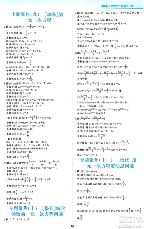 安徽教育出版社2024年秋新编基础训练七年级数学上册人教版答案