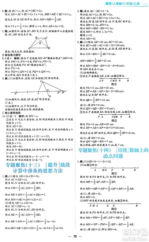 安徽教育出版社2024年秋新编基础训练七年级数学上册人教版答案