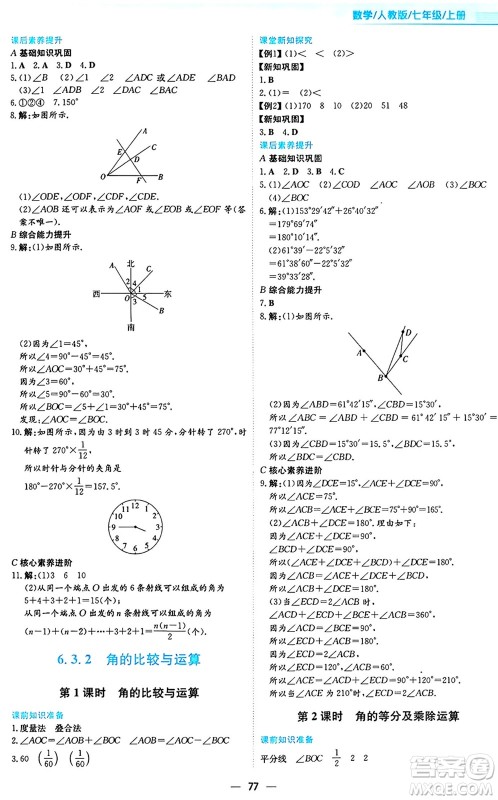 安徽教育出版社2024年秋新编基础训练七年级数学上册人教版答案