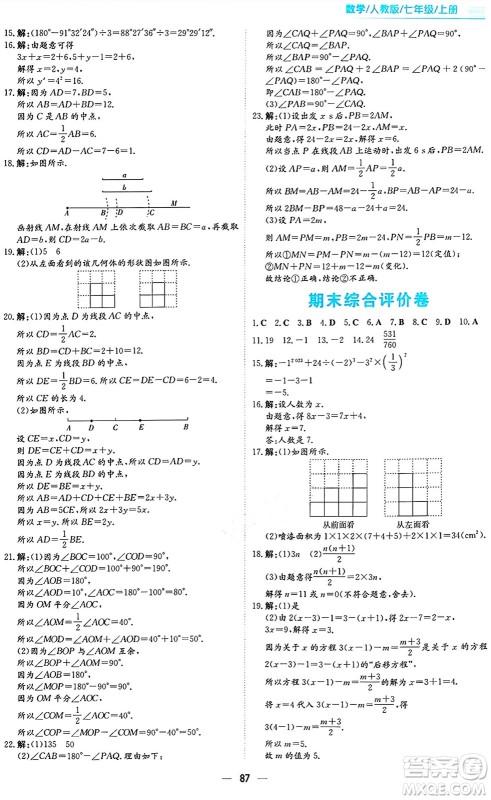 安徽教育出版社2024年秋新编基础训练七年级数学上册人教版答案