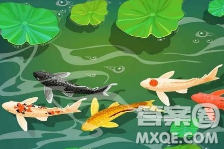 加来道雄鲤鱼的世界材料作文800字 关于加来道雄鲤鱼的世界的材料作文800字 加来道雄鲤鱼的世界材料作文800字 关于加来道雄鲤鱼的世界的材料作文800字