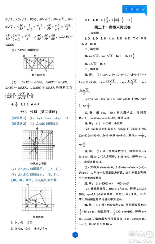 辽海出版社2024年秋新课程能力培养九年级数学上册人教版答案 辽海出版社2024年秋新课程能力培养九年级数学上册人教版答案