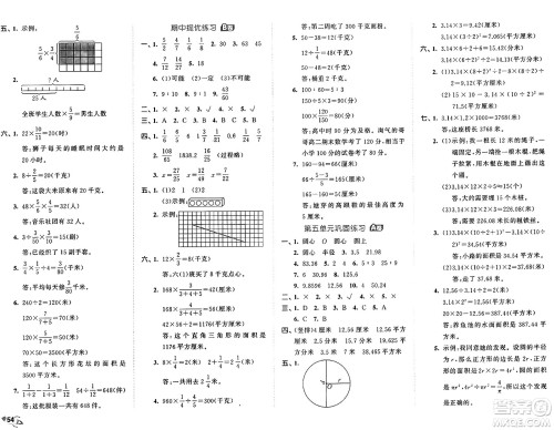 首都师范大学出版社2024年秋53全优卷六年级数学上册青岛版答案