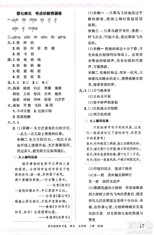 江西人民出版社2024年秋王朝霞考点梳理时习卷五年级语文上册人教版答案 江西人民出版社2024年秋王朝霞考点梳理时习卷五年级语文上册人教版答案