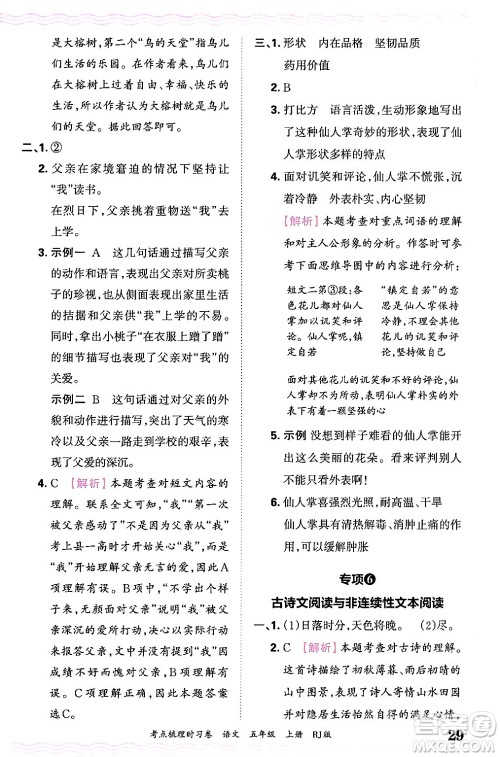 江西人民出版社2024年秋王朝霞考点梳理时习卷五年级语文上册人教版答案 江西人民出版社2024年秋王朝霞考点梳理时习卷五年级语文上册人教版答案