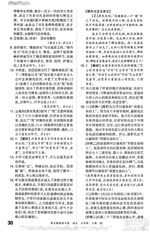 江西人民出版社2024年秋王朝霞考点梳理时习卷七年级语文上册人教版答案 江西人民出版社2024年秋王朝霞考点梳理时习卷七年级语文上册人教版答案