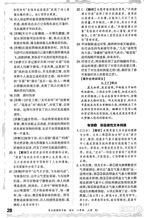 江西人民出版社2024年秋王朝霞考点梳理时习卷八年级语文上册人教版答案 江西人民出版社2024年秋王朝霞考点梳理时习卷八年级语文上册人教版答案