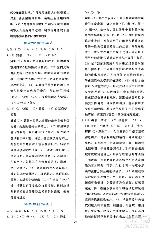 人民教育出版社2024年秋同步轻松练习七年级生物学上册人教版答案 人民教育出版社2024年秋同步轻松练习七年级生物学上册人教版答案