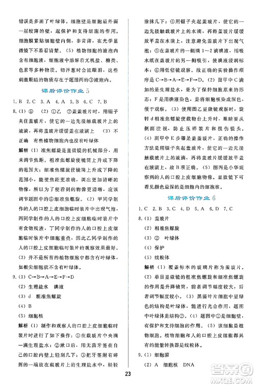 人民教育出版社2024年秋同步轻松练习七年级生物学上册人教版答案 人民教育出版社2024年秋同步轻松练习七年级生物学上册人教版答案