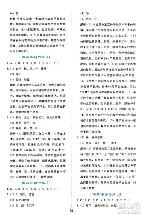 人民教育出版社2024年秋同步轻松练习七年级生物学上册人教版答案 人民教育出版社2024年秋同步轻松练习七年级生物学上册人教版答案