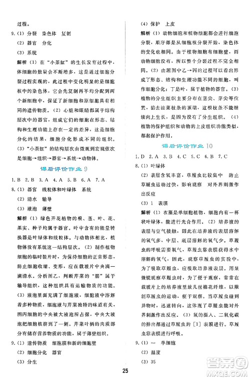 人民教育出版社2024年秋同步轻松练习七年级生物学上册人教版答案 人民教育出版社2024年秋同步轻松练习七年级生物学上册人教版答案