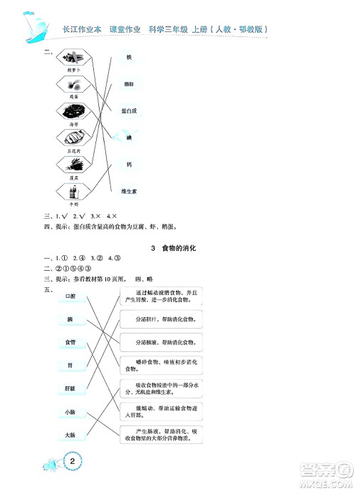 湖北教育出版社2024年秋长江作业本课堂作业四年级科学上册人教版答案