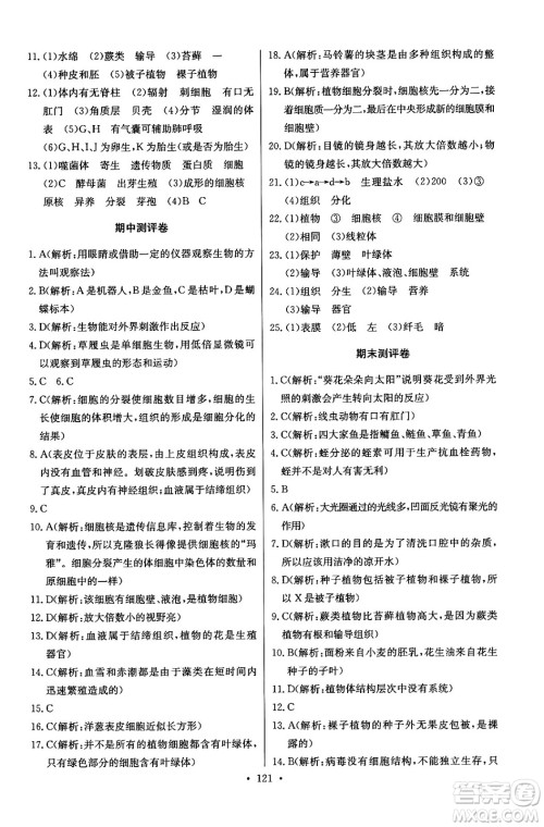 湖北教育出版社2024年秋长江全能学案同步练习册七年级生物学上人教版答案