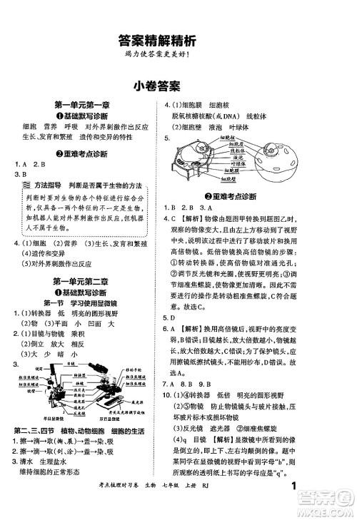 江西人民出版社2024年秋王朝霞考点梳理时习卷七年级生物上册人教版答案