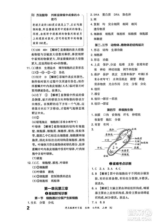 江西人民出版社2024年秋王朝霞考点梳理时习卷七年级生物上册人教版答案