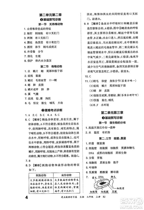 江西人民出版社2024年秋王朝霞考点梳理时习卷七年级生物上册人教版答案 江西人民出版社2024年秋王朝霞考点梳理时习卷七年级生物上册人教版答案