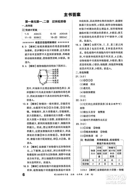 江西人民出版社2024年秋王朝霞考点梳理时习卷七年级生物上册人教版答案