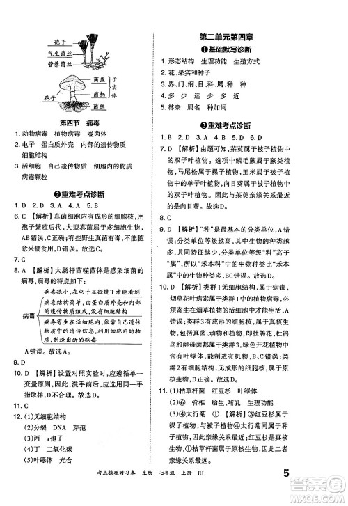 江西人民出版社2024年秋王朝霞考点梳理时习卷七年级生物上册人教版答案