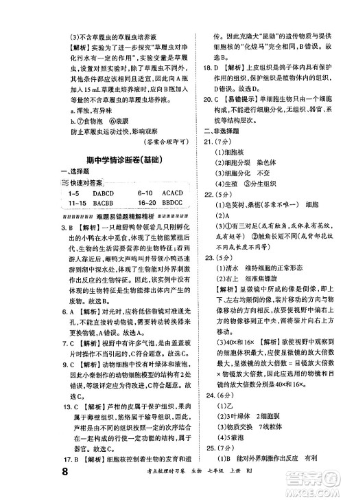 江西人民出版社2024年秋王朝霞考点梳理时习卷七年级生物上册人教版答案