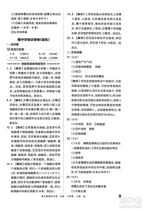 江西人民出版社2024年秋王朝霞考点梳理时习卷七年级生物上册人教版答案 江西人民出版社2024年秋王朝霞考点梳理时习卷七年级生物上册人教版答案