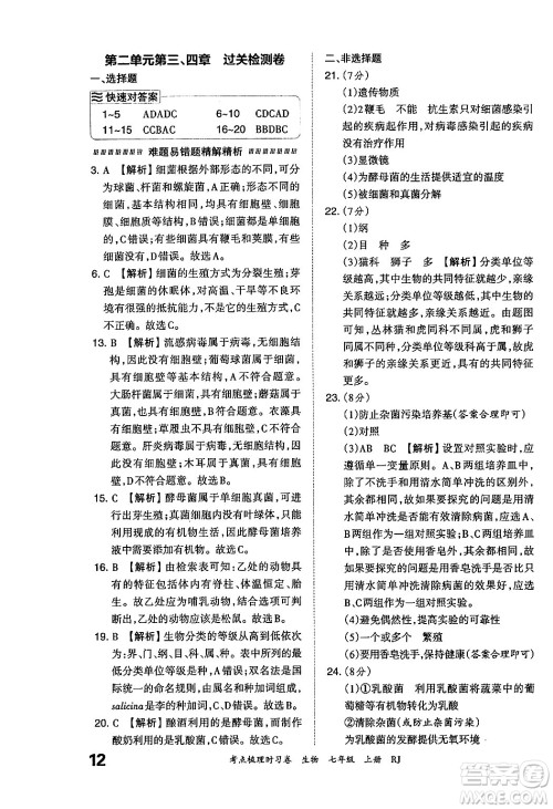 江西人民出版社2024年秋王朝霞考点梳理时习卷七年级生物上册人教版答案 江西人民出版社2024年秋王朝霞考点梳理时习卷七年级生物上册人教版答案