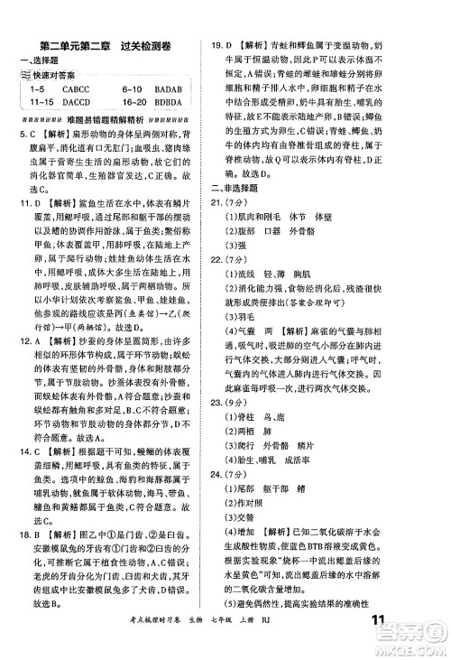 江西人民出版社2024年秋王朝霞考点梳理时习卷七年级生物上册人教版答案