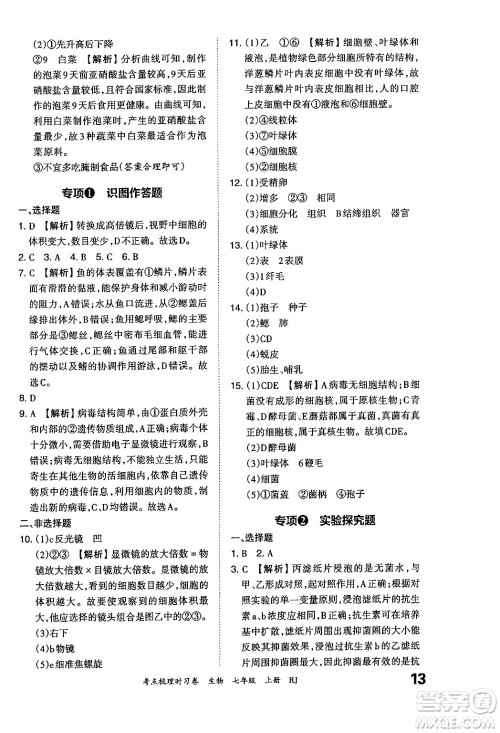 江西人民出版社2024年秋王朝霞考点梳理时习卷七年级生物上册人教版答案