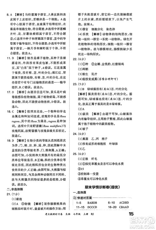 江西人民出版社2024年秋王朝霞考点梳理时习卷七年级生物上册人教版答案