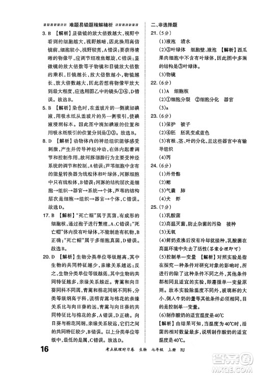 江西人民出版社2024年秋王朝霞考点梳理时习卷七年级生物上册人教版答案 江西人民出版社2024年秋王朝霞考点梳理时习卷七年级生物上册人教版答案