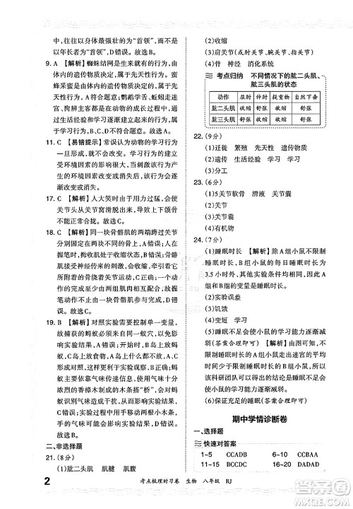 江西人民出版社2024年秋王朝霞考点梳理时习卷八年级生物上册人教版答案