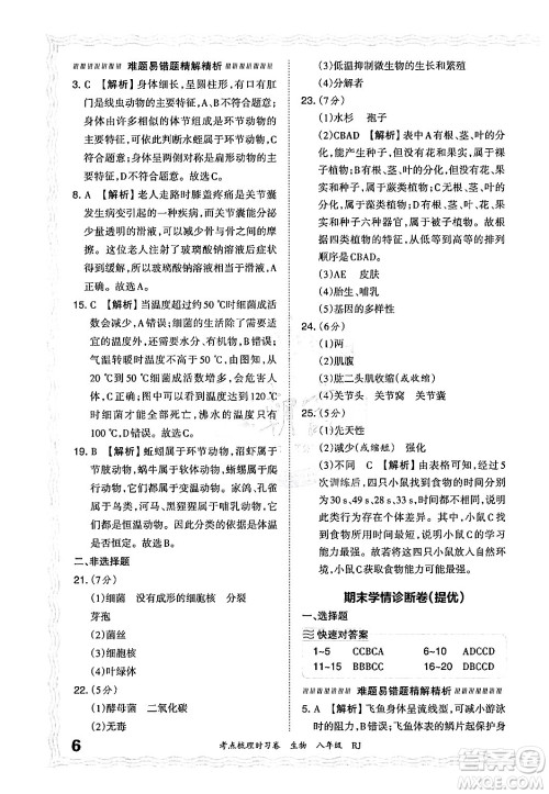 江西人民出版社2024年秋王朝霞考点梳理时习卷八年级生物上册人教版答案 江西人民出版社2024年秋王朝霞考点梳理时习卷八年级生物上册人教版答案
