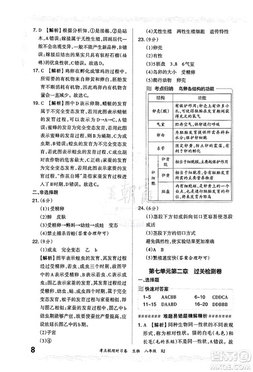 江西人民出版社2024年秋王朝霞考点梳理时习卷八年级生物上册人教版答案