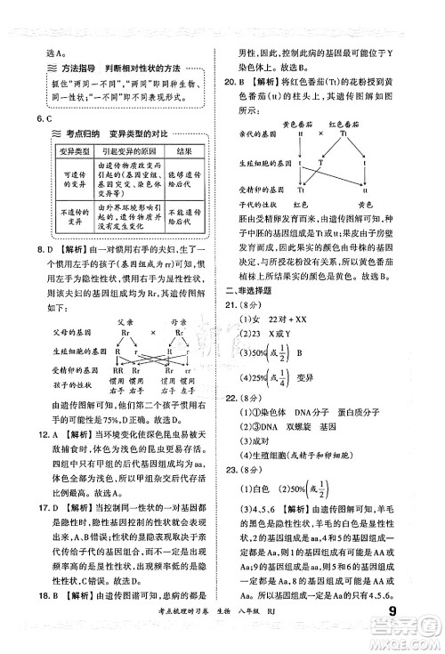 江西人民出版社2024年秋王朝霞考点梳理时习卷八年级生物上册人教版答案 江西人民出版社2024年秋王朝霞考点梳理时习卷八年级生物上册人教版答案