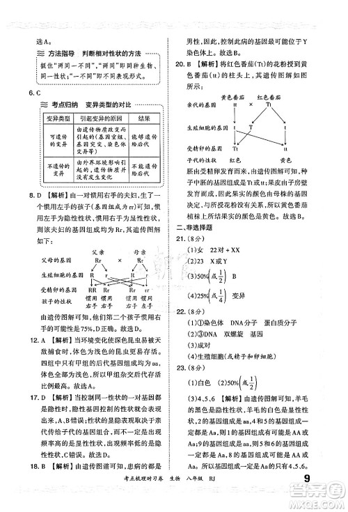 江西人民出版社2024年秋王朝霞考点梳理时习卷八年级生物上册人教版答案