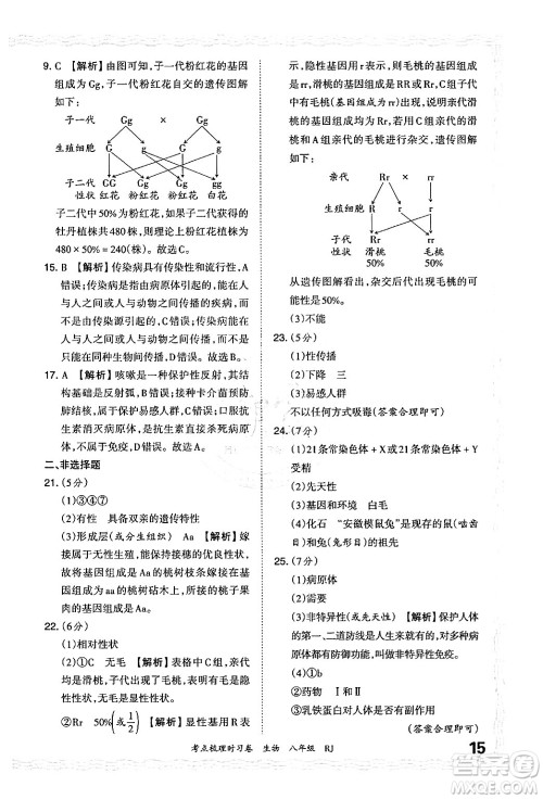 江西人民出版社2024年秋王朝霞考点梳理时习卷八年级生物上册人教版答案