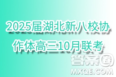 2025届湖北新八校协作体高三10月联考数学试卷答案