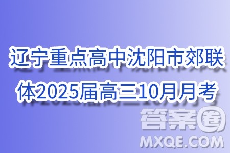 辽宁重点高中沈阳市郊联体2025届高三10月月考数学试题答案