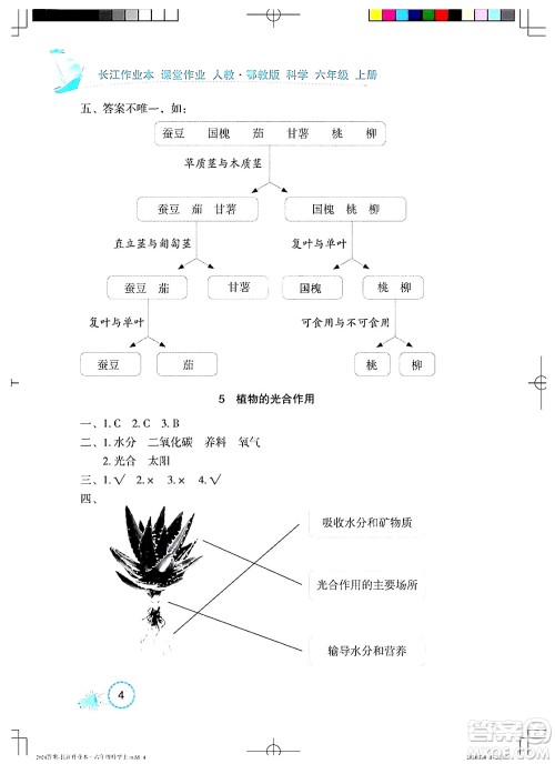 湖北教育出版社2024年秋长江作业本课堂作业六年级科学上册人教版答案