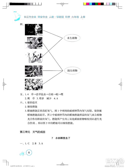 湖北教育出版社2024年秋长江作业本课堂作业六年级科学上册人教版答案