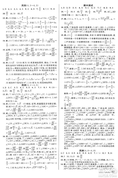 开明出版社2024年秋名校课堂九年级数学上册北师大版答案