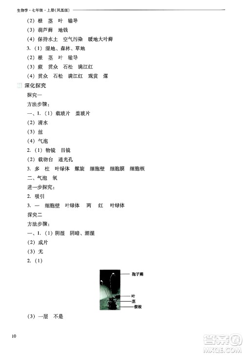 山西教育出版社2024年秋新课程问题解决导学方案七年级生物上册凤凰版答案 山西教育出版社2024年秋新课程问题解决导学方案七年级生物上册凤凰版答案