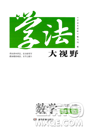 湖南教育出版社2024年秋学法大视野八年级数学上册华师版答案