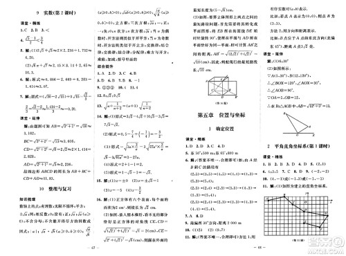 北京师范大学出版社2024秋初中同步练习册七年级数学上册鲁教版五四制答案