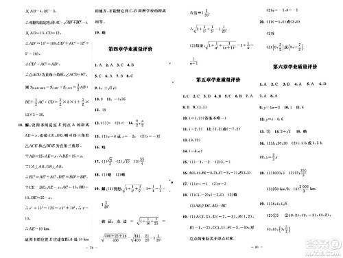 北京师范大学出版社2024秋初中同步练习册七年级数学上册鲁教版五四制答案