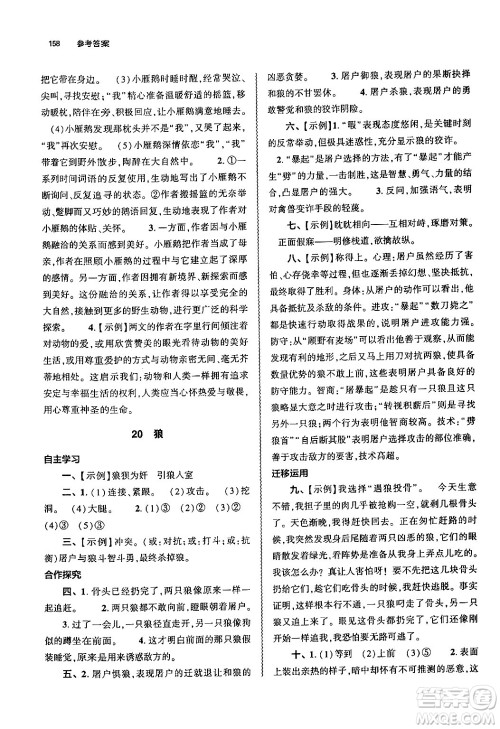 大象出版社2024秋初中同步练习册七年级语文上册人教版山东专版答案