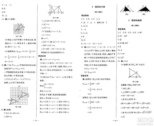 北京师范大学出版社2024秋初中同步练习册八年级数学上册鲁教版五四制答案