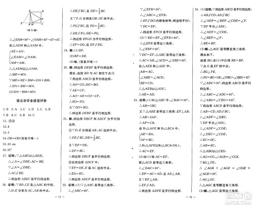 北京师范大学出版社2024秋初中同步练习册八年级数学上册鲁教版五四制答案