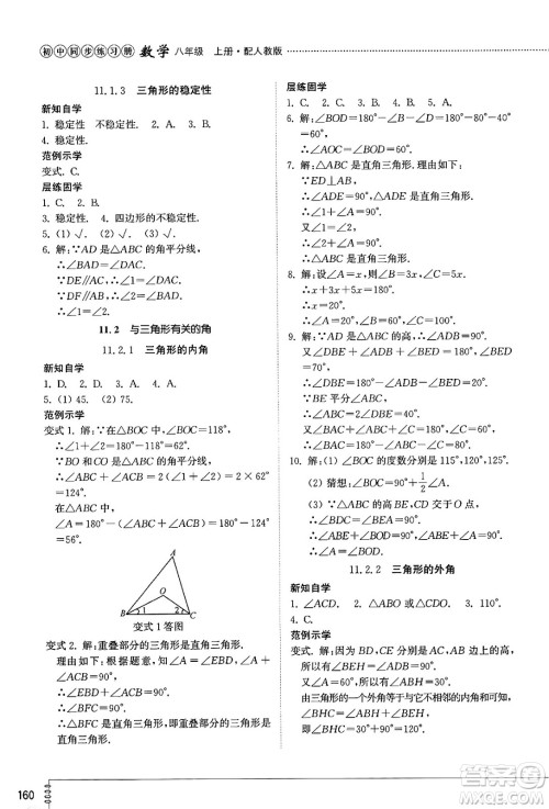 山东教育出版社2024秋初中同步练习册八年级数学上册人教版山东专版答案