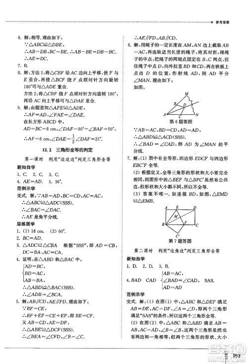 山东教育出版社2024秋初中同步练习册八年级数学上册人教版山东专版答案